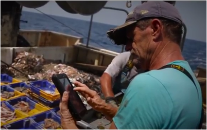 pescador utilisando un programa de monitoreo de pesca