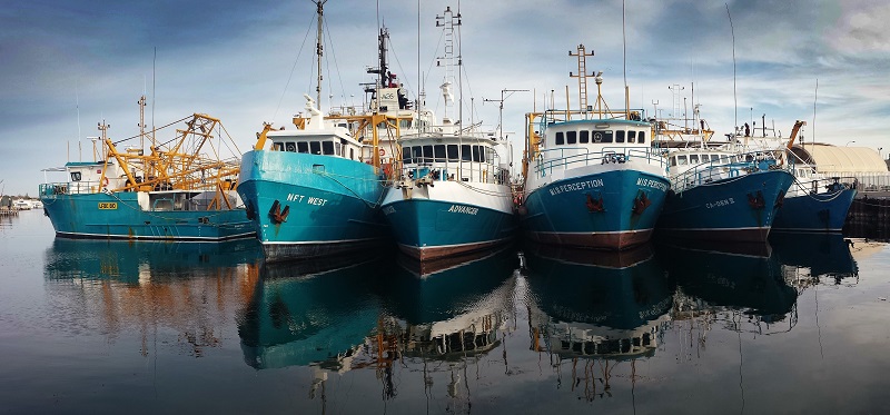 barcos de pesca