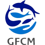 logo-GFCM LOGO gfcm