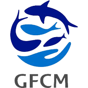 GFCM logo