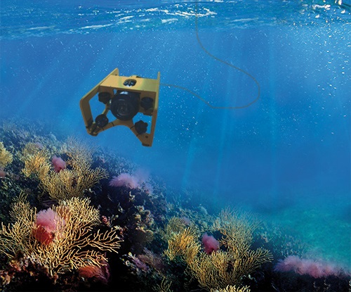 underwater robot