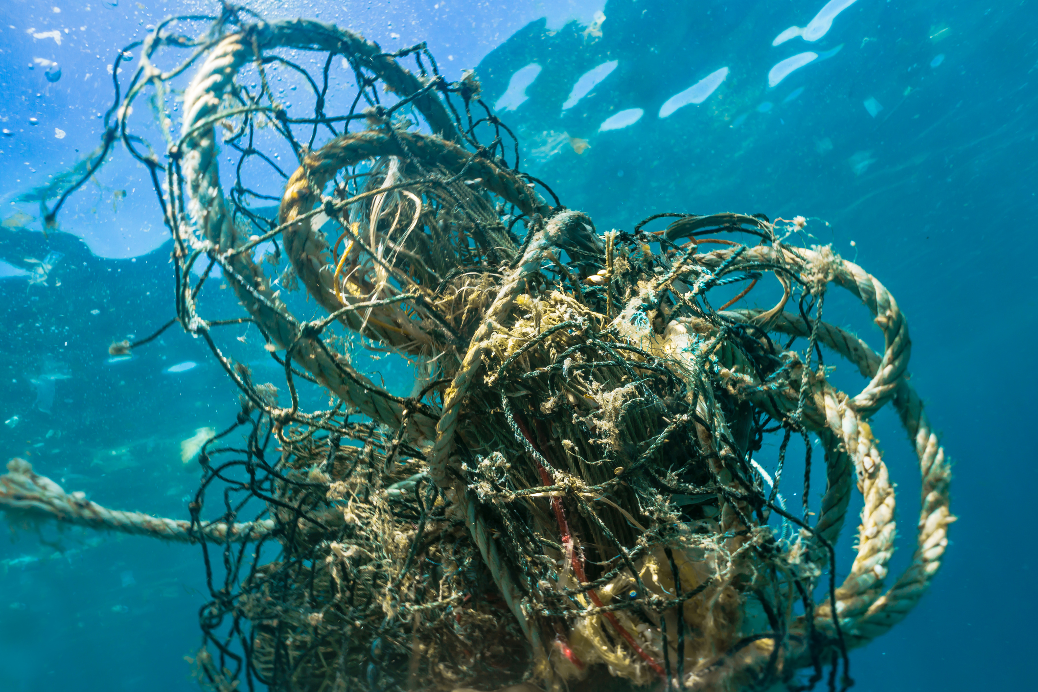 Environmental Issue ocean pollution Ghost Net fishing industry