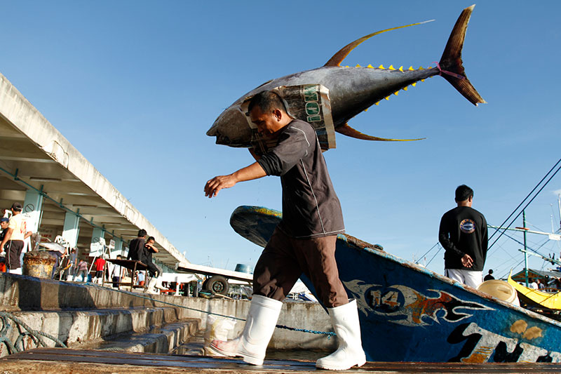 Indonesian tuna fisherman