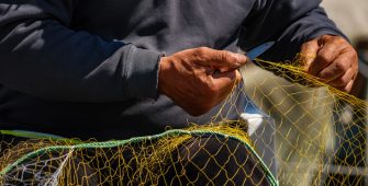 fisheries co-management with VMS technology