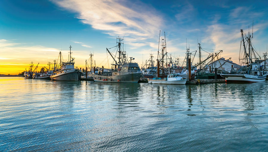 Flotte de pêche industrielle au port