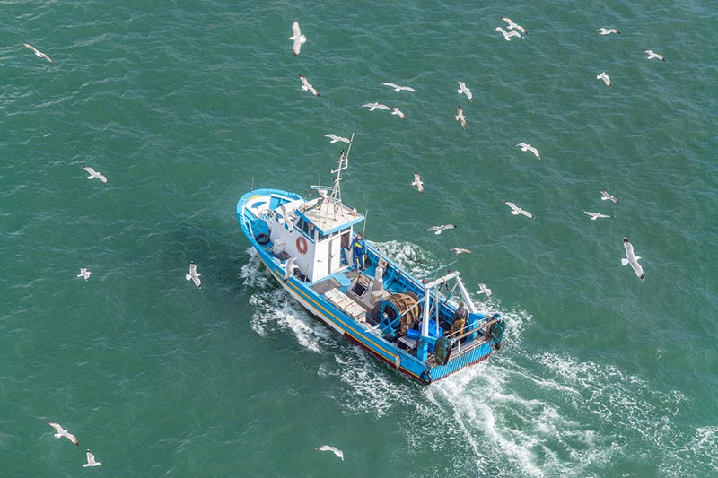 Navire de pêche
