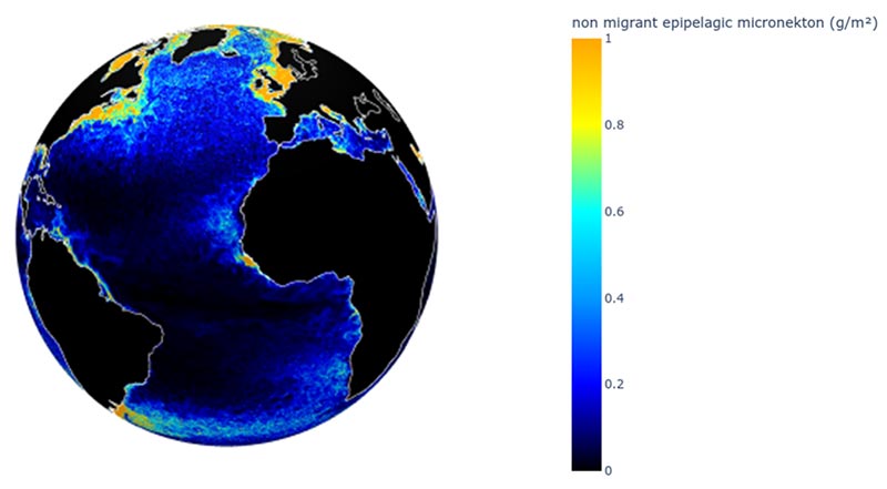 Global Distribution of Non-Migrant Epipelagic Micronekton Biomass