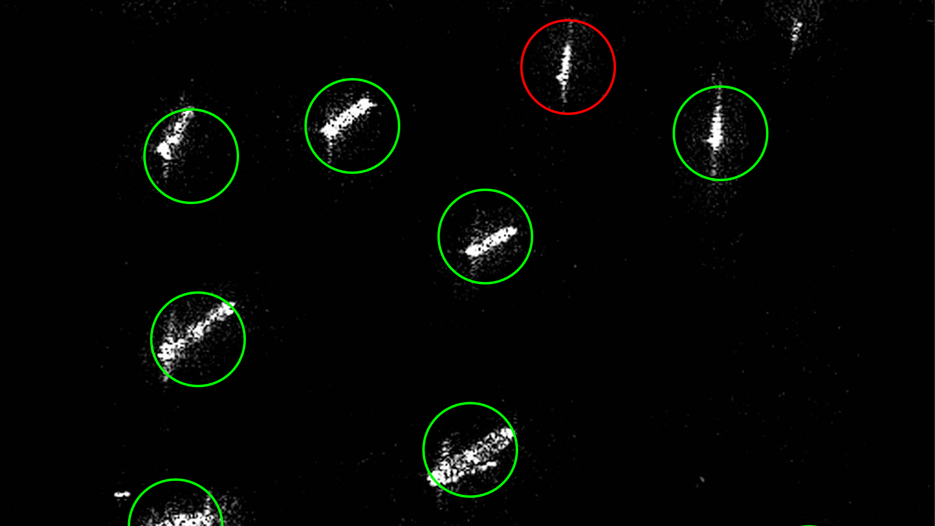 IUU Detection