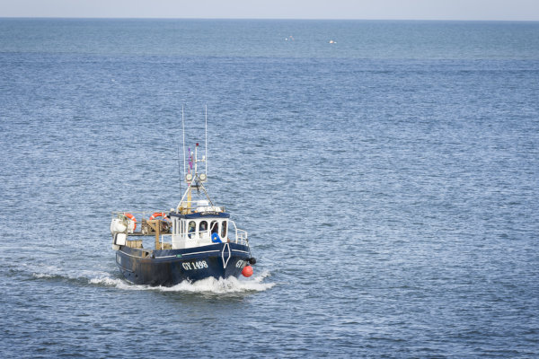 Fishing boats